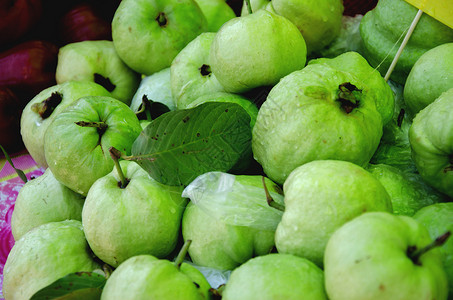 瓜瓦果绿色水果白色热带背景图片