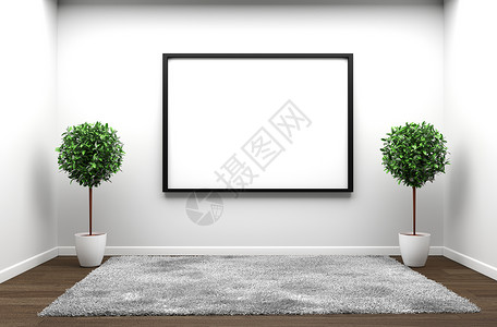 内地客厅 墙壁上木木的植物家具沙发装饰白色空白绿色风格财产木头房间背景图片