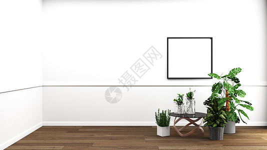 内地客厅 墙壁上木木的植物财产家具房间风格沙发白色木头绿色地面空白背景图片