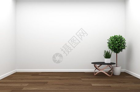 内地客厅 墙壁上木木的植物地面绿色沙发空白白色装饰家具房间风格木头背景图片