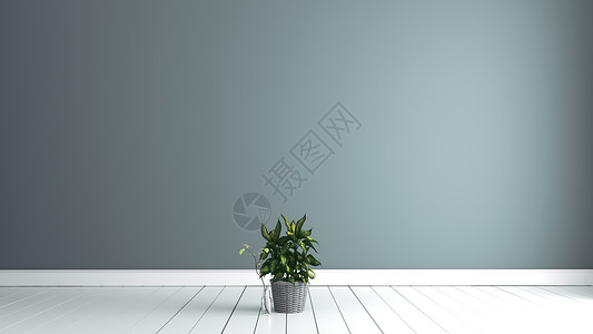 有植物的空房间 客厅内部 3D 渲染高清图片