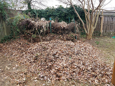 堆肥堆或土丘 棕色树叶落下院子工作叶子碎片背景图片