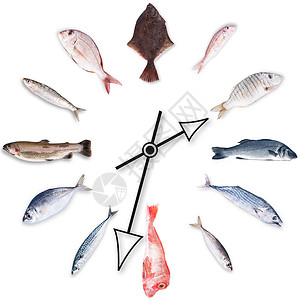 白底鱼时钟背景图片