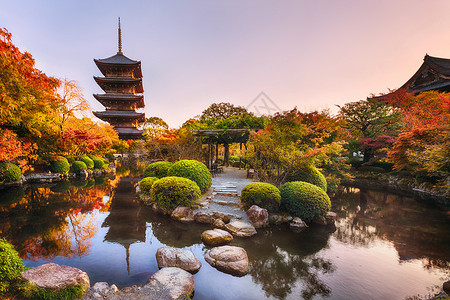 日本京都秋天花园 古老的木塔托吉寺庙高清图片