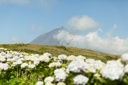 微微别霍葡萄牙亚速尔群岛 有云的皮科山火山绣球花远景天空风景乡村蓝色绿色场地旅行背景