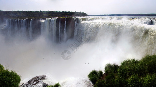 巴西利亚阿根廷湿的高清图片