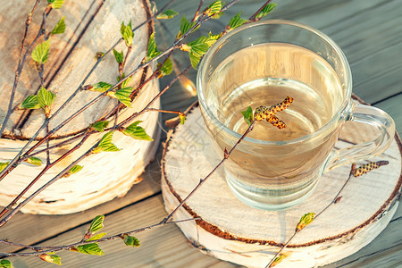 Birch 果汁放在玻璃杯中的木制桌上 旁边是树枝旁有青叶的小树叶生物玻璃绿色饮料枝条植物液体树液桦树汁排毒背景图片