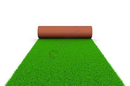 地毯草长满草的地毯背景