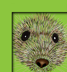 鼠标野生动物矢量图 鼠标野生动物象形文字 图灰色插图染色创造力情感哺乳动物绘画房子老鼠涂鸦背景图片