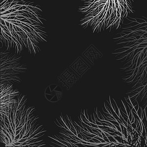 灰色的树枝 现代风格的深色背景 植物学背景 抽象概念图形元素作品墙纸装饰框架庆典空白材料枝条白色黑色背景图片