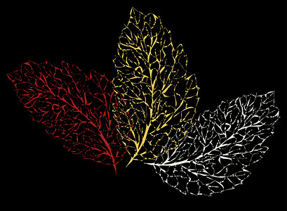 秋叶适合任何用途的精美设计 矢量树集合 秋季背景设计 秋季背景季节性卡片 叶矢量纹理花纹背景图片