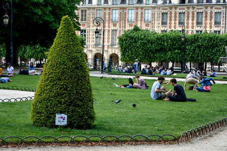 孚日广场夏季访问巴黎及其古迹 法国首都的法国首都公园建筑学母鸡荷花植物园花园纪念碑青蛙铁塔农村背景