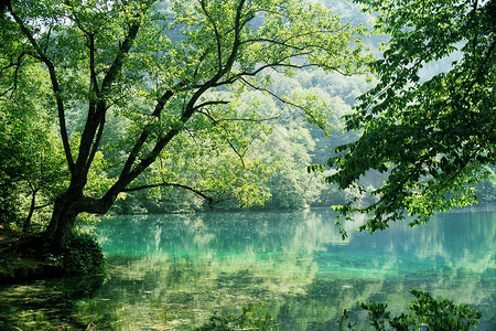 蓝湖绿色旅行旅游森林假期背景图片