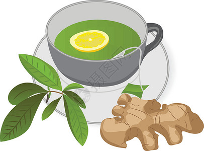 黑糖姜母茶一杯加姜和柠檬的绿茶插画