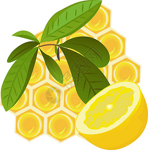 百香果柠檬tealemon 和 honeycom 的早午餐插画