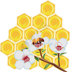 白色蜂蜜蜂窝和蜜蜂在 flowe插画