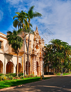 迭戈Balboa公园古典博物馆大楼背景