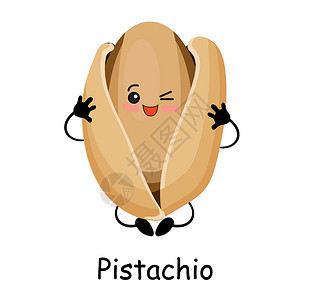 角色卡通Pistchio坚果 插图 白色背景中孤立的胡桃人物背景