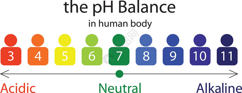 皮肤ph值pH值平衡炭信息科学测试插图安全碱性测量健康饮食控制图表插画