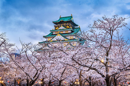 樱花城堡在日本大阪的樱花和城堡季节建筑地标观光公园节日建筑学蓝色遗产花园背景