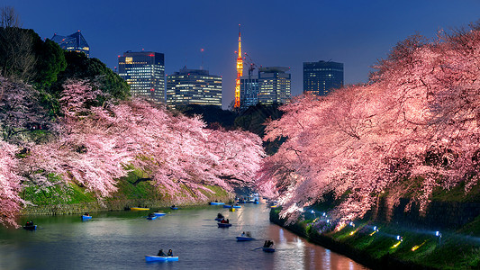 船人日本东京公园樱花开花节日旅游地标蓝色游客花园公园城市风景旅行背景