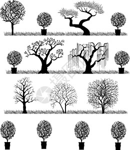 矢量树松树绘画橡木森林公园树木土地夹子叶子植物背景图片