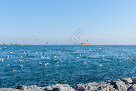 马尔马拉海伊斯坦布尔洋底磷海的船舶和海鸥背景