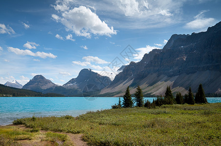 banff加拿大艾伯塔Banff国家公园 加拿大爱伯塔州旅行环境山脉目的地爬坡森林农村全景荒野风景背景