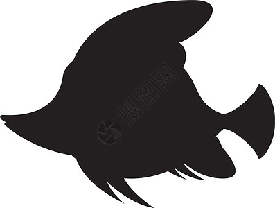 热带鱼剪影海洋生物黑与白游泳背景图片
