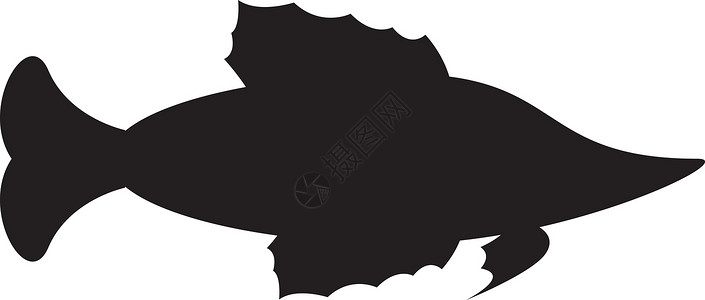 热带鱼剪影黑与白游泳海洋生物背景图片