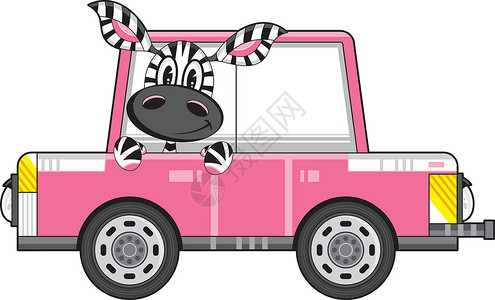 卡通 Ca 中的斑马司机插图卡通片轮子动物车辆背景图片
