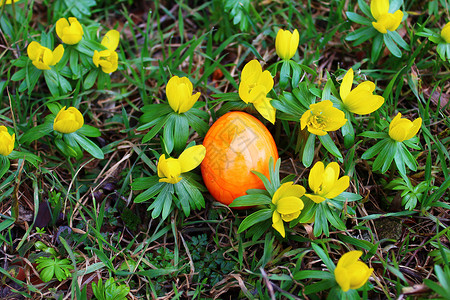 翠花彩蛋复活节装饰二月高清图片