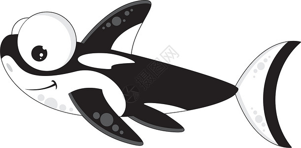 卡通逆戟鲸鲸鱼动物海洋生物海上生活背景图片
