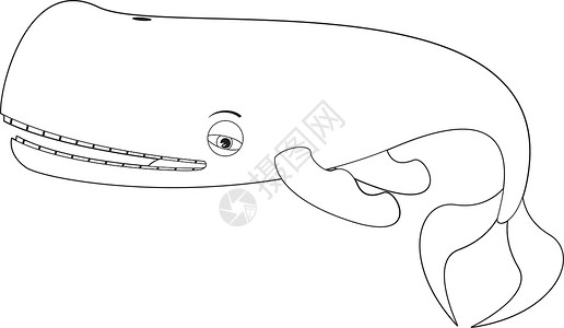 卡通鲸鱼动物黑与白生活背景图片