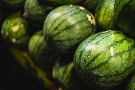 西瓜熟了市场上的里普和甜美西瓜 快关门了 很多成熟的绿条纹西瓜 有机农民市场 商店营养健康圆圈团体收成甜点热带食物生产水果背景
