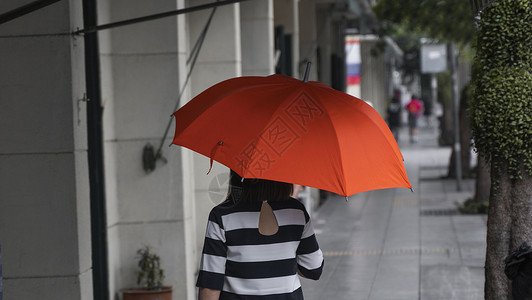 雨伞详情时尚美丽高清图片