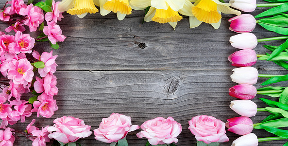 粉色矩形边框山顶旧木头上季节性花花的矩形边框背景