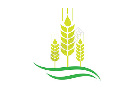 农业小麦标志模板矢量图标设计生长营养谷物面包燕麦收成食物农场玉米粮食设计图片