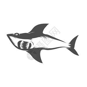 高跟鱼嘴鞋在白色背景隔绝的鲨鱼 鱼无缝模式钓鱼生活眼睛荒野淡水海浪捕食者野生动物美食尾巴设计图片