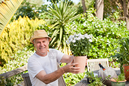 高年男子在花园里放鲜花职业男人栽培爱好祖母祖父母男性花园情妇家庭背景