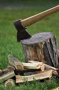 斧头笨蛋松树头骨森林手锯光束软木针叶树木材木头背景图片