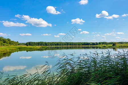 兰开夏郡在阳光明媚的白天 可以看到小湖或河流环境天空树木林地旅游反射蓝天世界木头太阳背景