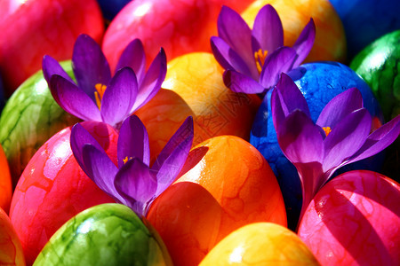 东部快乐的问候传统彩蛋装饰贺卡红花花朵背景图片