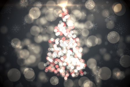 清晨的圣诞光树背景主题背景图片