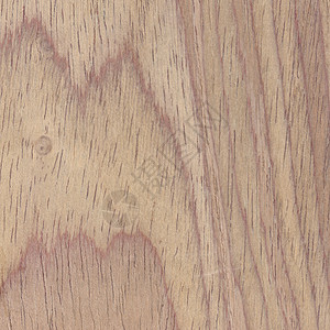 柚木胶合板图案锯材皮肤装饰柚木材料木纹胶合板木头背景图片