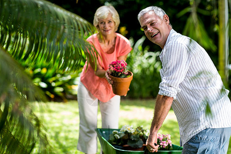 流金岁月在院子里配有手推车和花盆的老夫妇白发活动团结闲暇空闲退休岁月服装快乐流金背景