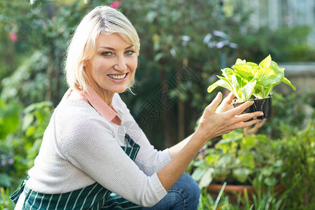 拥有陶植植物的自信女园丁高清图片