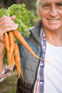 快乐的园丁在花园里拿着胡萝卜的肖像高清图片