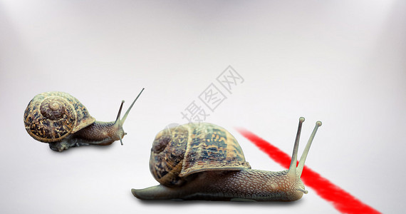 白色背景的蜗牛复合图像Name主题影像竞争聚光灯竞赛数码蜗牛壳红色昆虫灰色背景图片