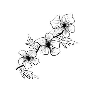 花朵的黑色轮廓 花图标 矢量轮廓图 花卉插图 花卉背景 孤立的白色背景叶子艺术技术风格植物群花瓣植物学植物花园装饰背景图片